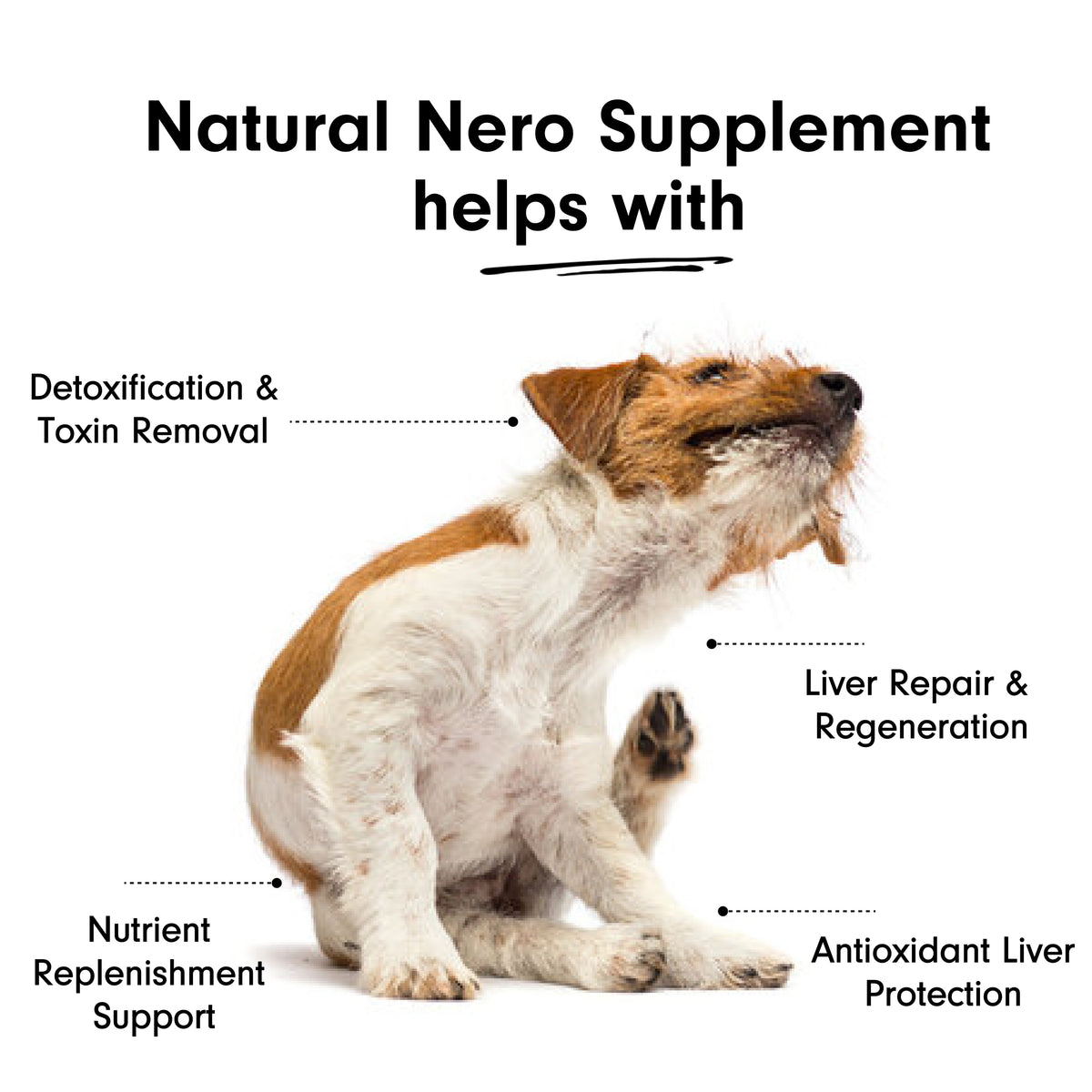 Natural Liver Supplement with Milk Thistle for Dogs & Cats