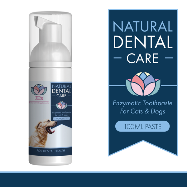 Natural Toothpaste for Cats Dogs JP s Natural Pet Supplements