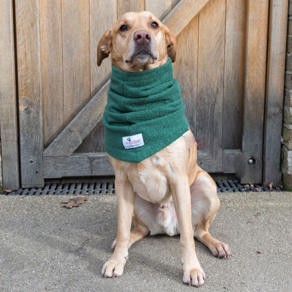 Dogrobe snoods are trusted and loved by dogs’ owners and their pets as they are ideal for drying your dog's head, neck and ears. Dog snood in green.