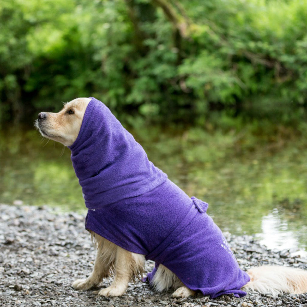 Dogrobe snoods are trusted and loved by dogs’ owners and their pets as they are ideal for drying your dog's head, neck and ears. Dog snood in purple.