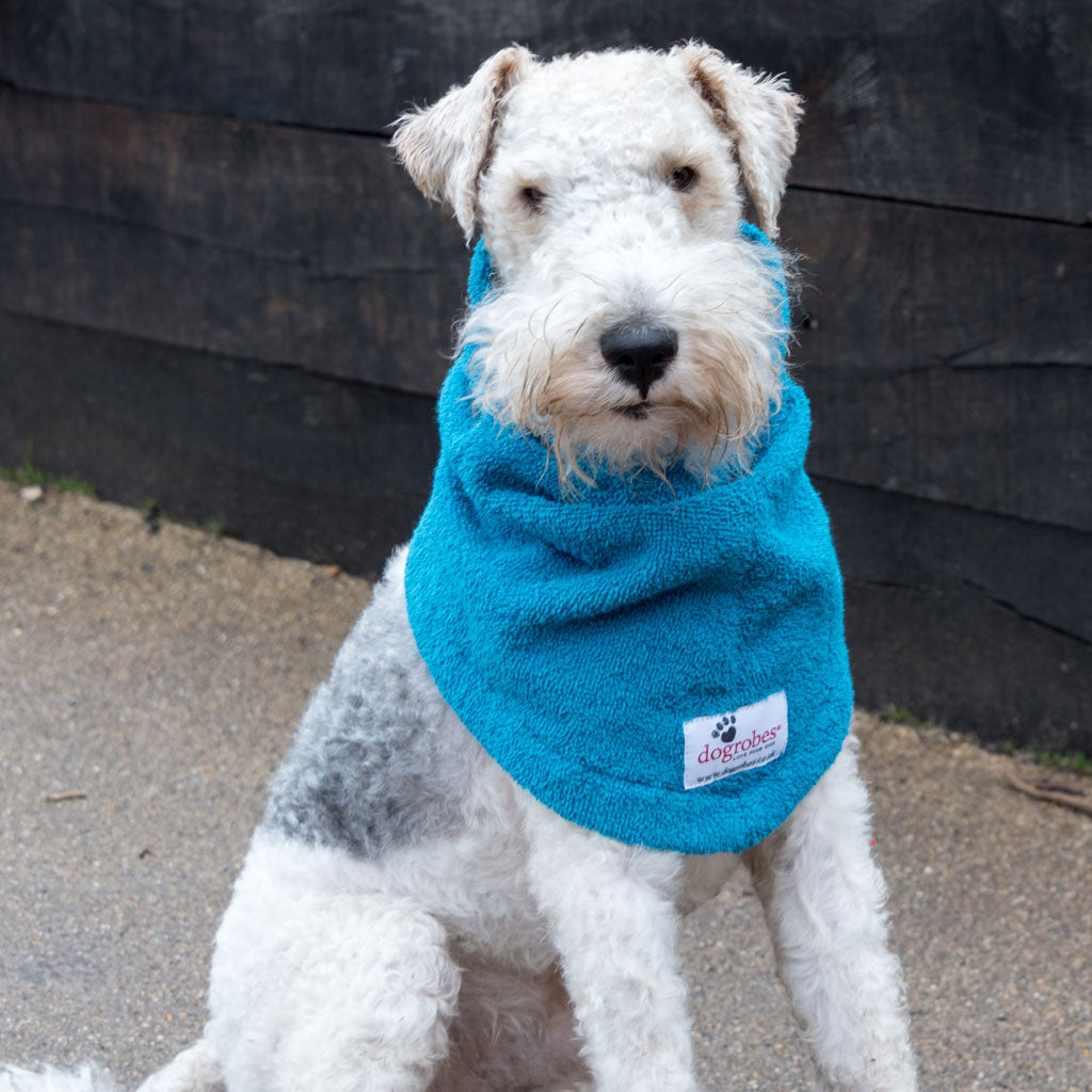 Dogrobe snoods are trusted and loved by dogs’ owners and their pets as they are ideal for drying your dog's head, neck and ears. Dog snood in teal.