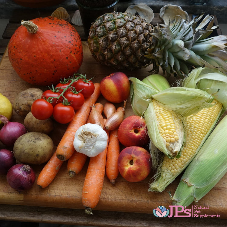 Benefits of Fibre, Probiotics, Prebiotics & Clinoptilolite Zeolite for Dogs