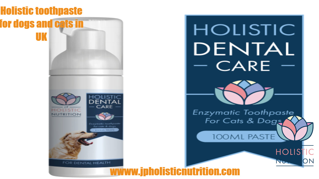Improve Canine & Feline Oral Health With The Best Natural Toothpaste For Plaque