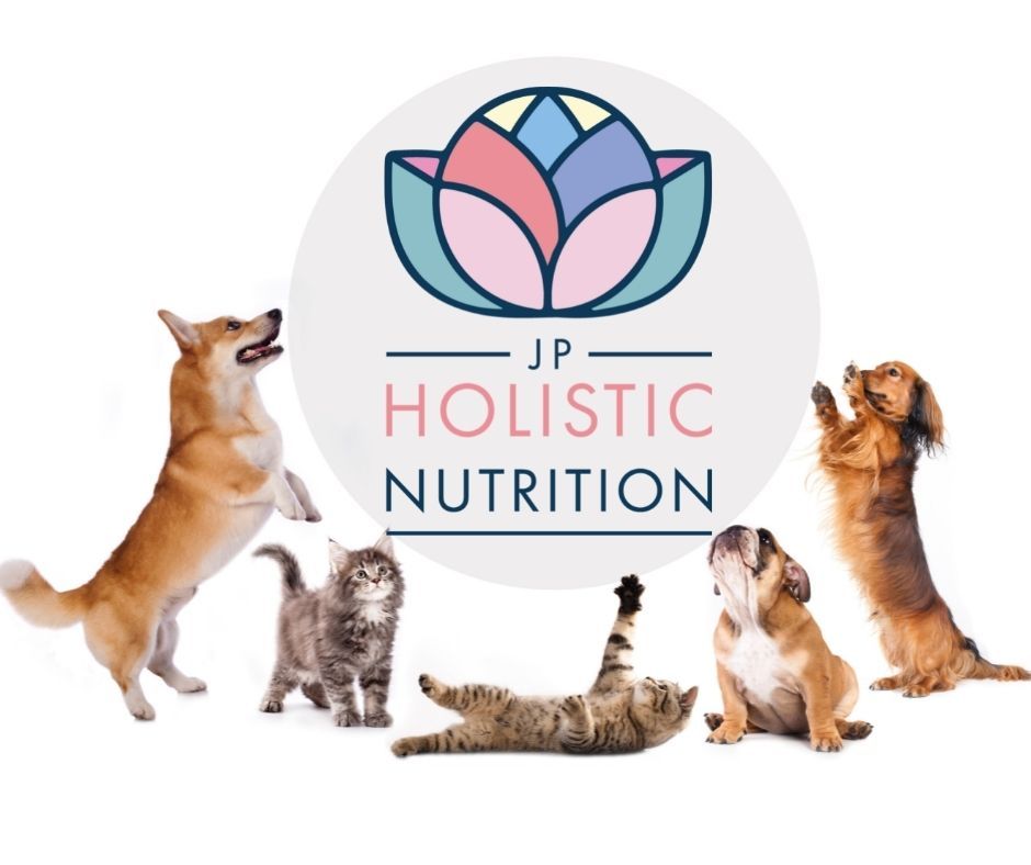 JP Holistic Nutrition launches it's own range of Vet approved Natural Pet Supplements.