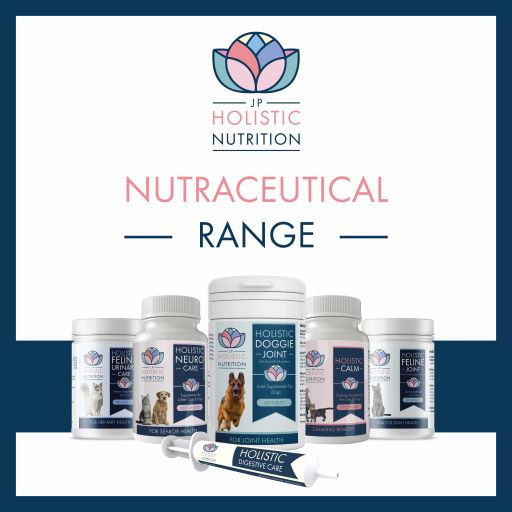 The best Holistic natural dog supplements  in the UK