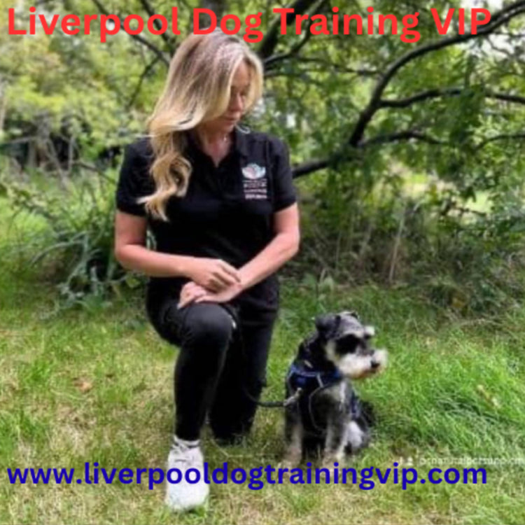 Justine Shone Dog Trainer & Behaviourist Expert Services