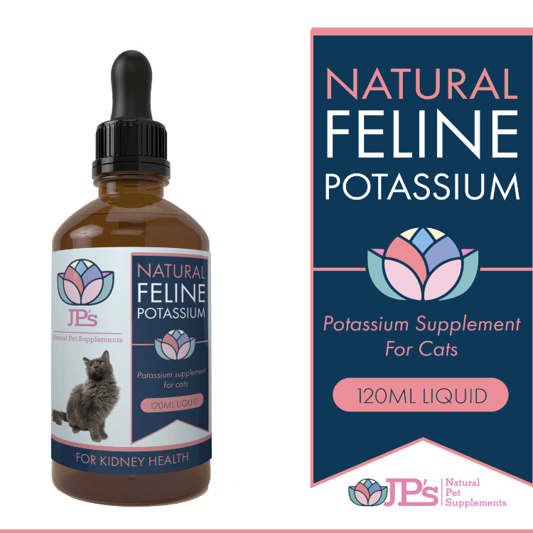 Natural Potassium Supplement for Cats with Kidney Disease