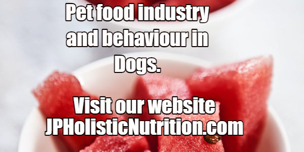 The Pet food industry and behaviour in dogs.