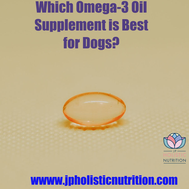 The Science Behind Omega3 for Dogs JP's Natural Pet Supplements