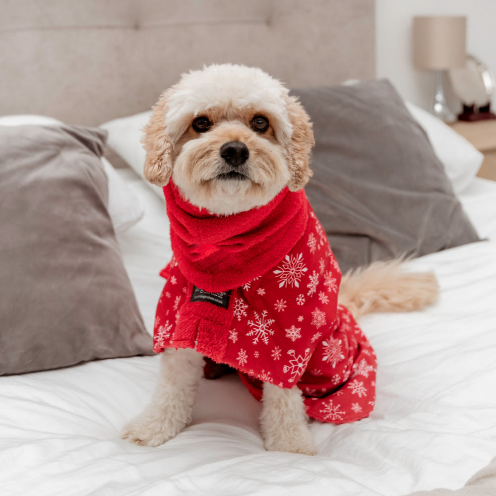 Exclusive collection DogRobe drying coat, with harness access opening in Red Snowflake pattern.