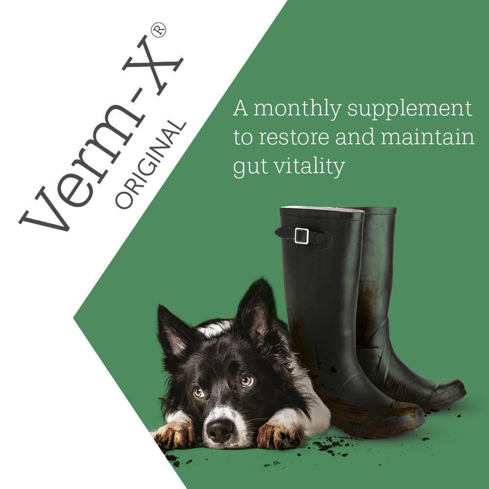 Verm-X Liquid for Dogs 250ml - JP Holistic Nutrition 