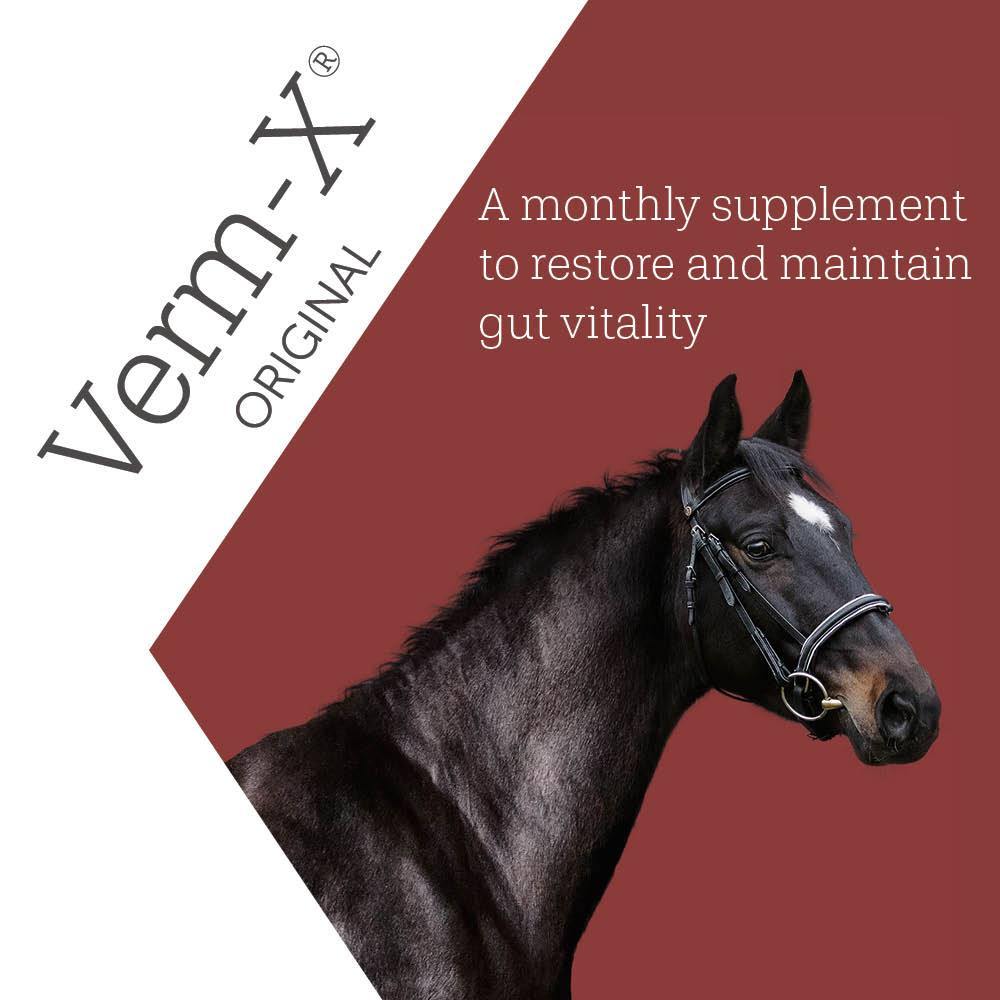 Verm-X Liquid for Horses - JP Holistic Nutrition 