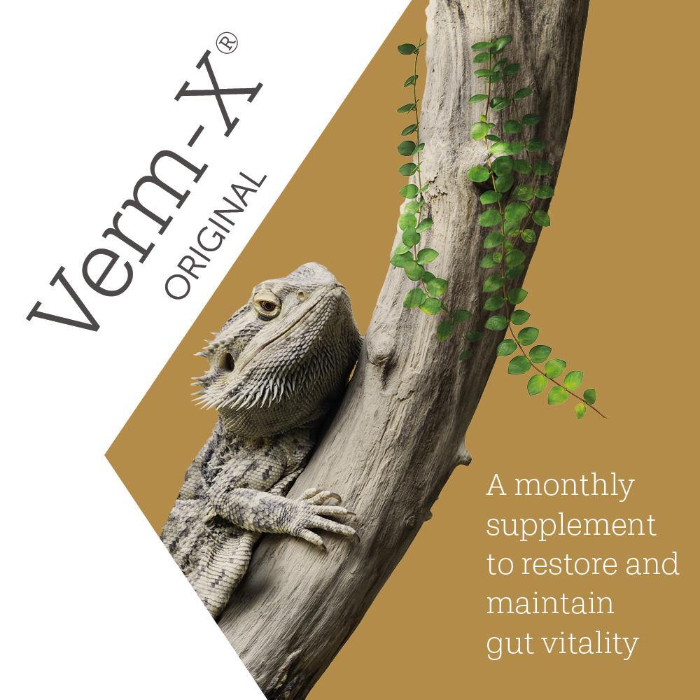 Verm-X Powder for Reptiles 25g - JP Holistic Nutrition 