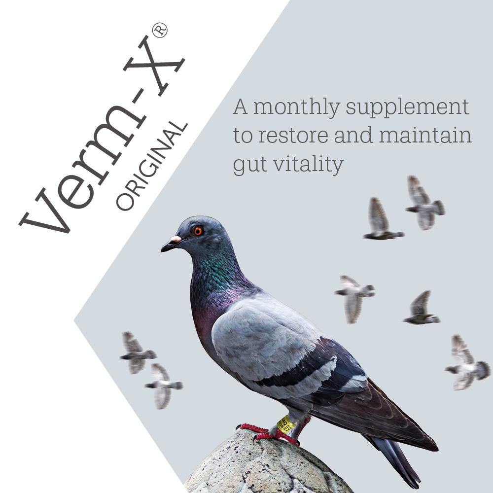 Verm-X Liquid for Racing Pigeons - JP Holistic Nutrition 