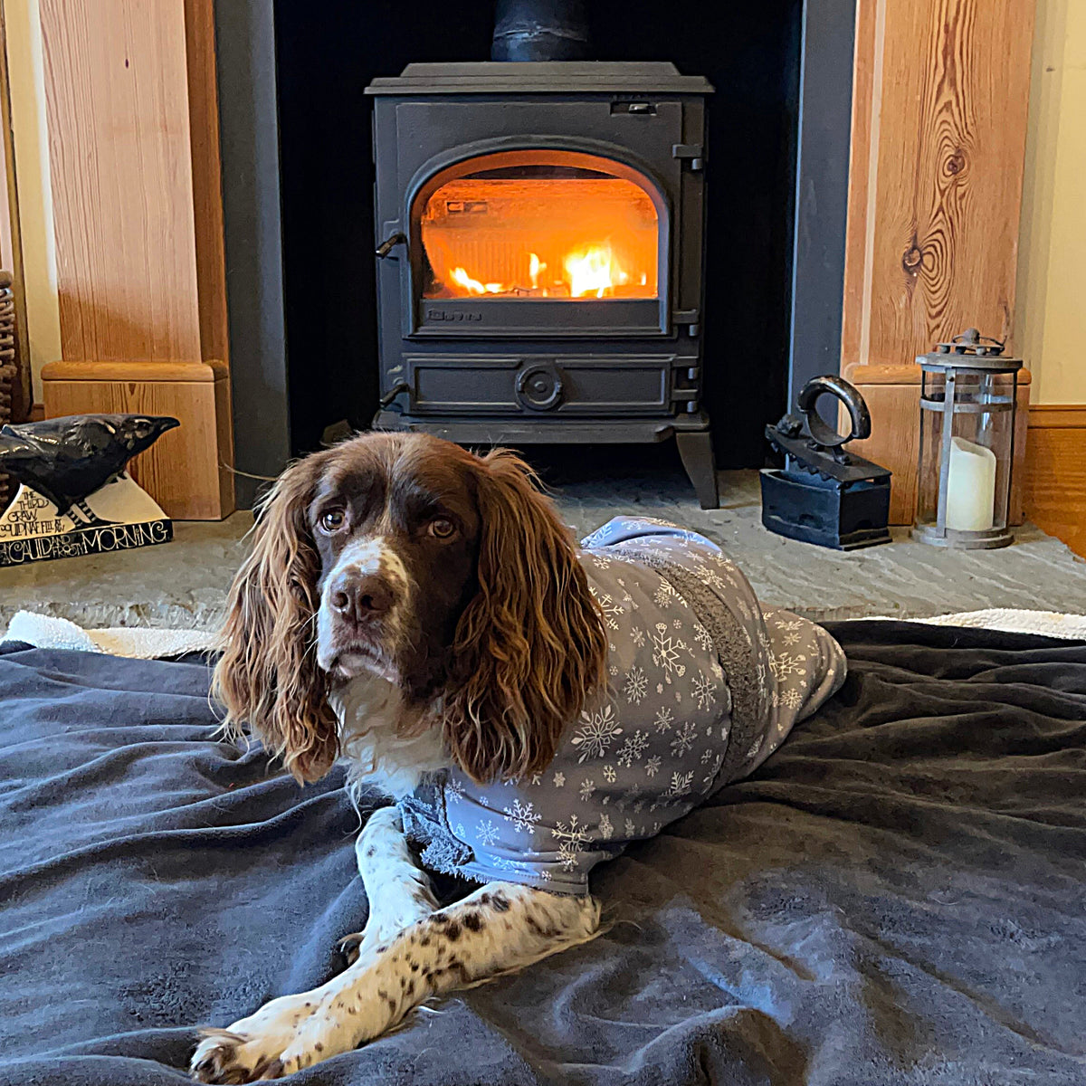 Exclusive collection DogRobe drying coat, with harness access opening in Grey Snowflake pattern.