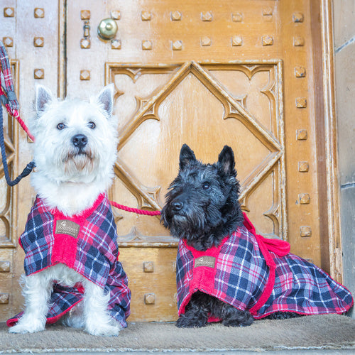 Stylish yet practical tartan drying Dogrobe is ideal for outdoor adventures, after swimming, training, working or bathing.