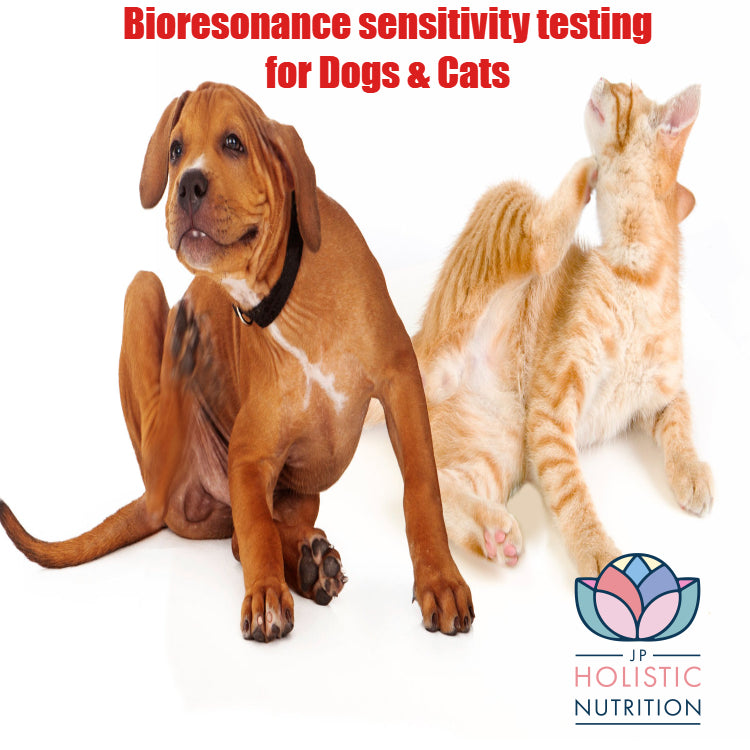 Pet Bioresonance Sensitivity Testing