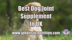 Best dog joint supplement in uk