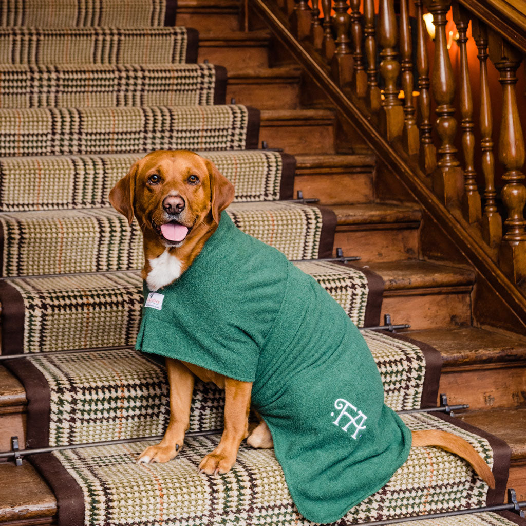 Dogrobe dog coats are perfect for drying, warming and comforting your dog after outdoor adventures. Available in green.