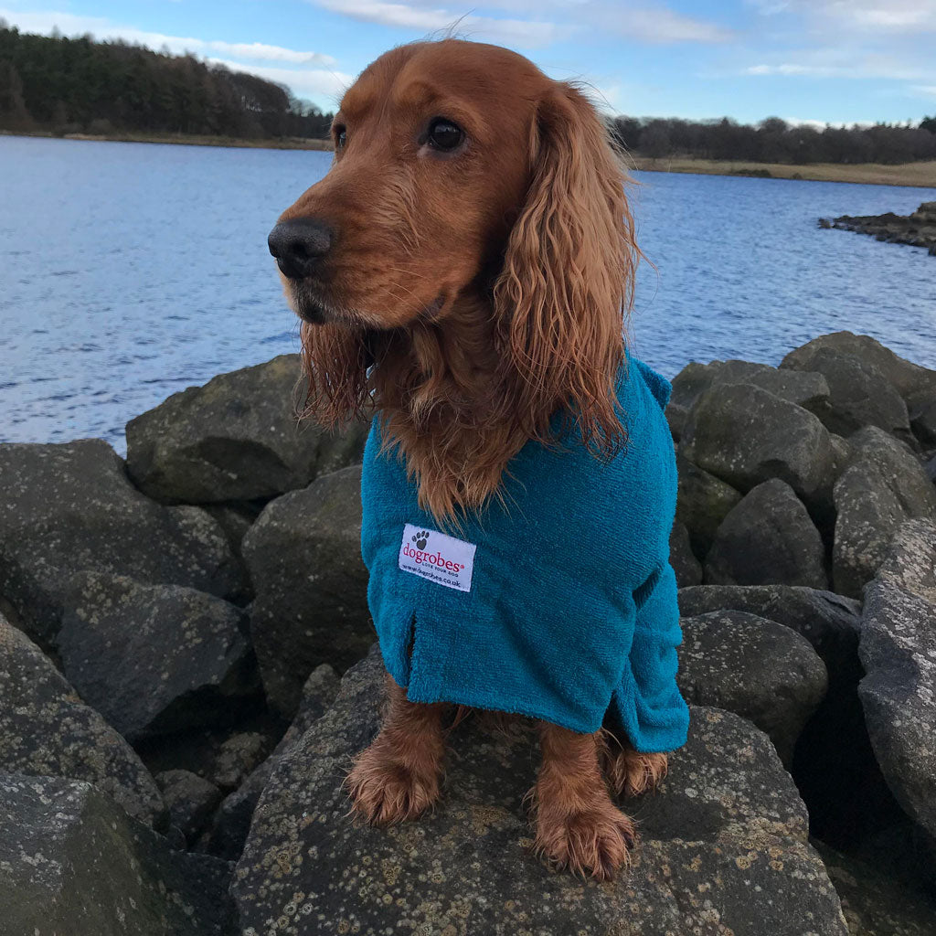 Dogrobe dog coats are perfect for drying, warming and comforting your dog after outdoor adventures. Available in teal.