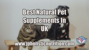 Best natural pet supplements in UK